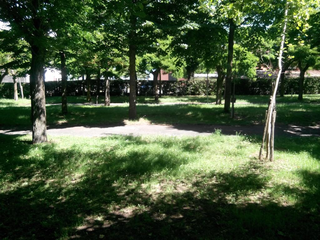 Camping Vigna Di Valle Campingplatz Anguillara Sabazia